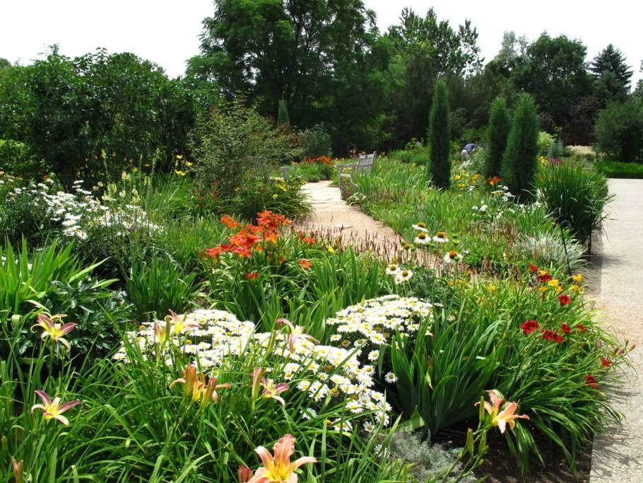 Миксбордеры с лилиями и лилейниками