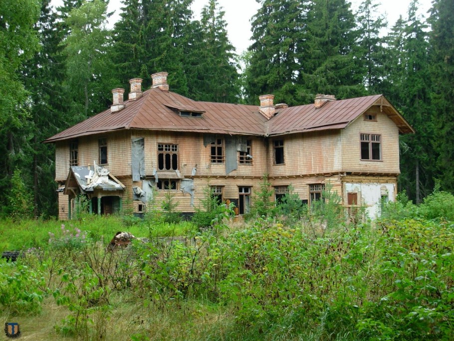 Дача Медведева в Комарово