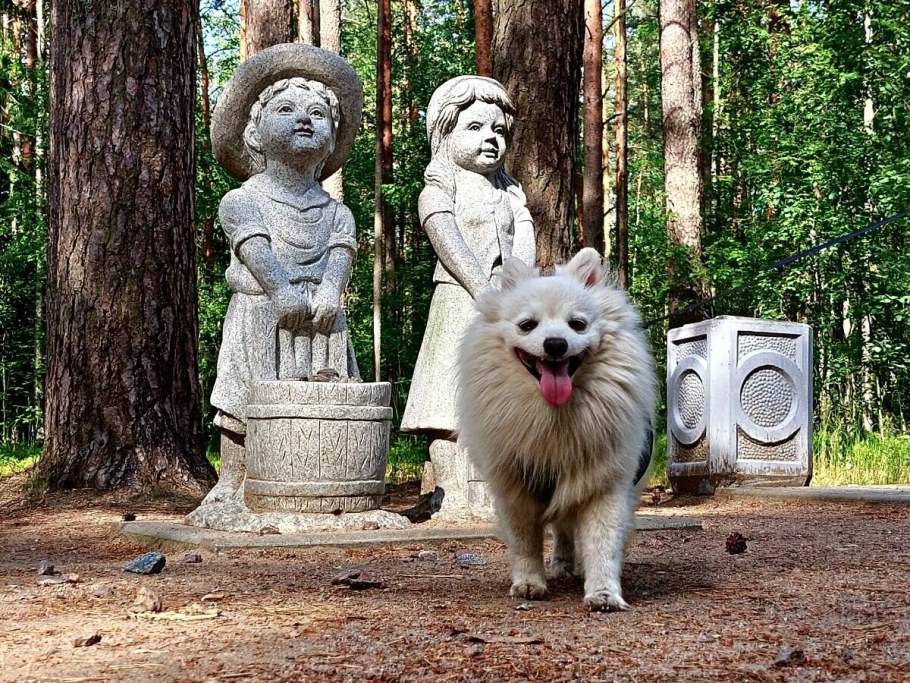 Писательские дачи в Комарово