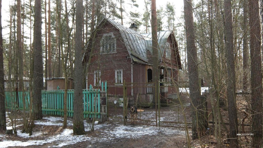 Кладбище в Комарово