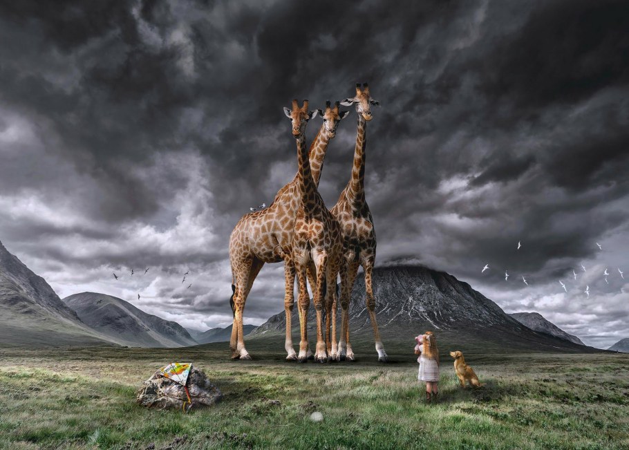 Африканский пейзаж