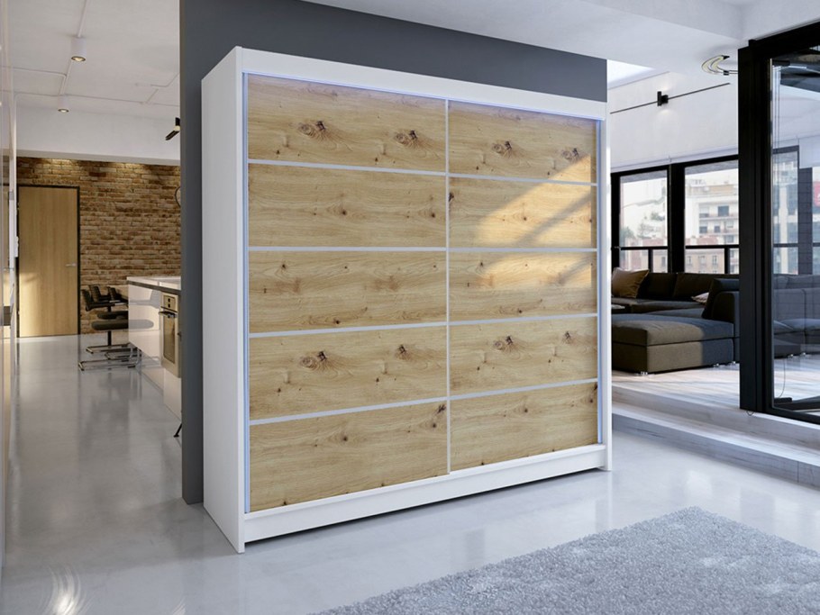 Шкаф-купе Борнео-2-2