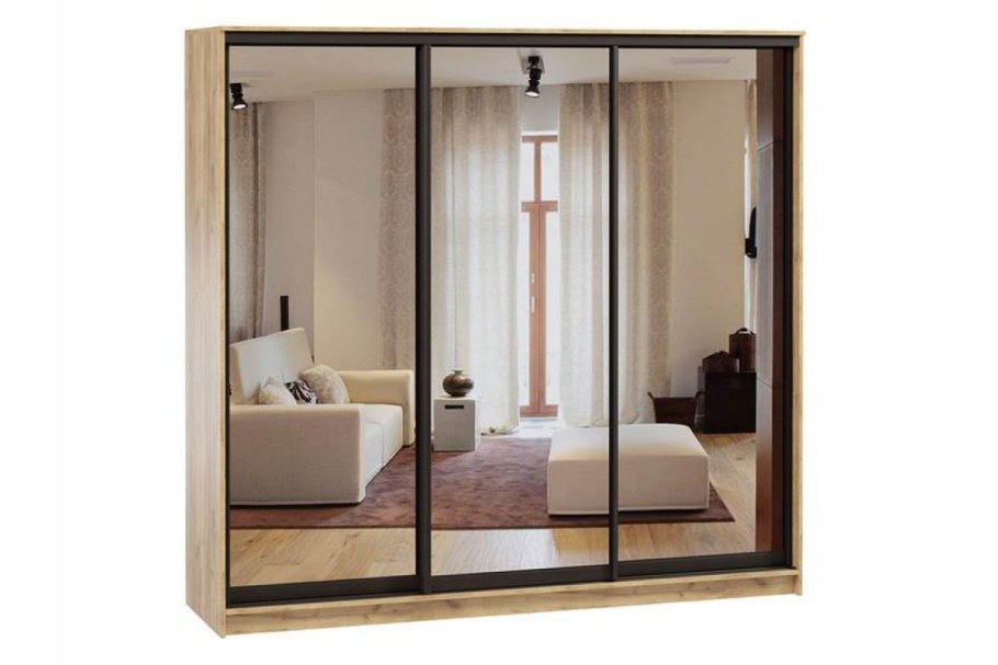 Шкаф-купе Борнео-3-5