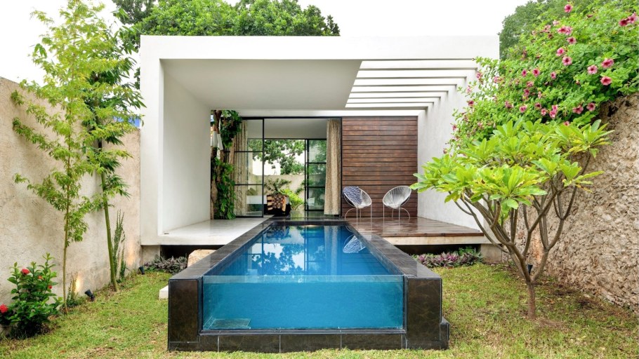 Бассейн со стеклянной стенкой