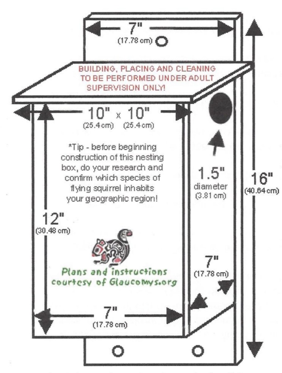 Чертежи дуплянки для белок