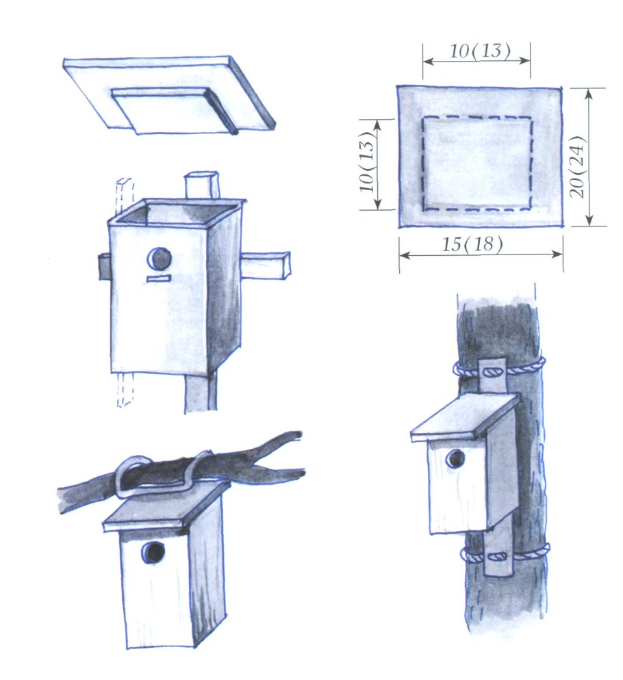 Чертёж скворечника с размерами из дерева