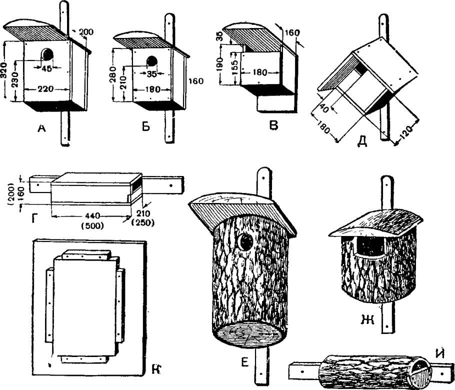 Габариты скворечника для Скворцов