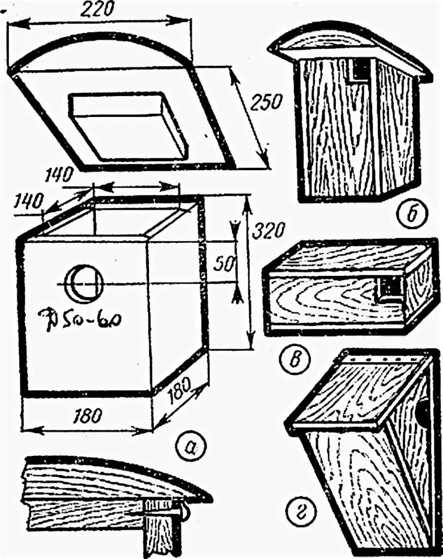 Размеры скворечника и синичника