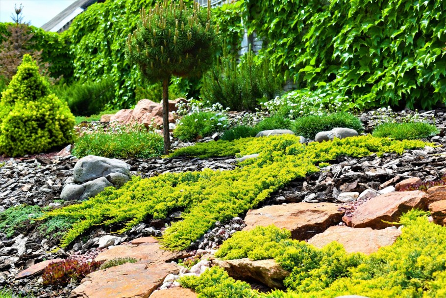 Ландшафтный рокарий Каскад ручьев