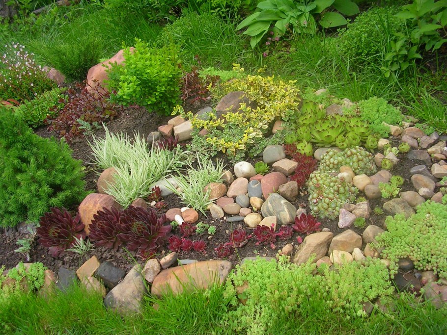 Альпинарий и рокарий