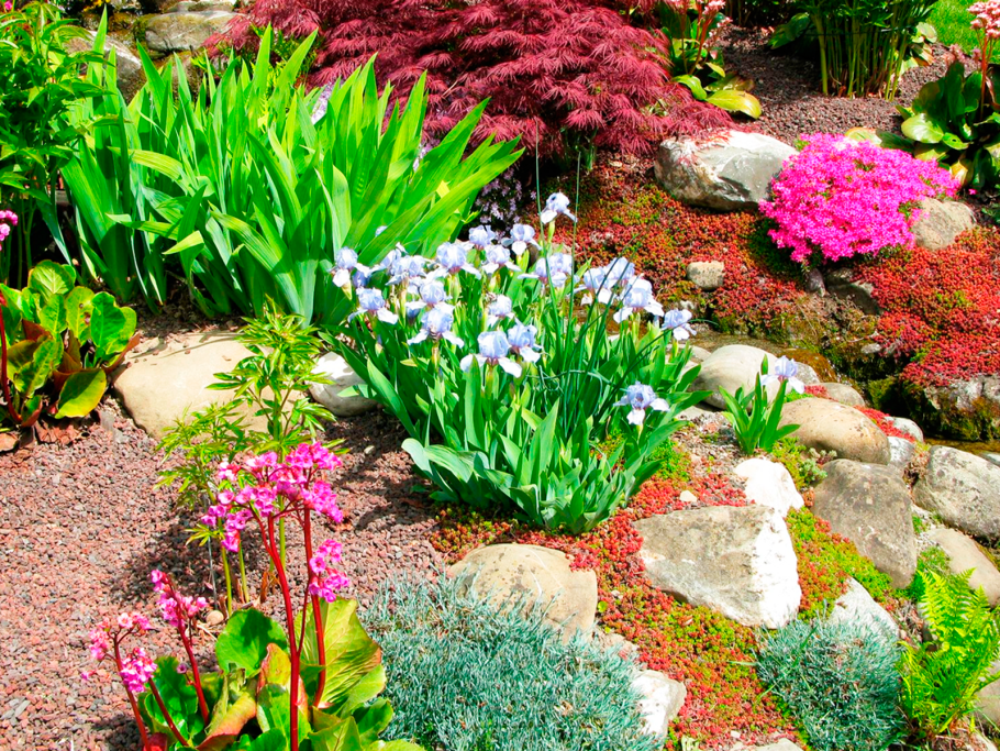 Альпинарии горки каменистые сады Марковский