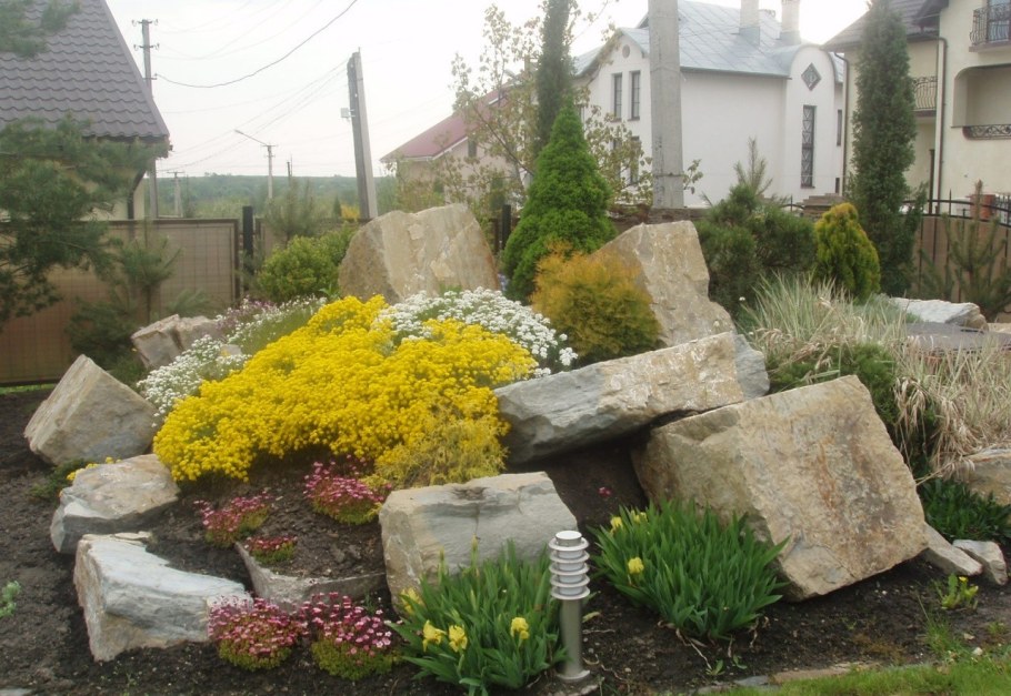 Растения альпинарии, Альпийская горка