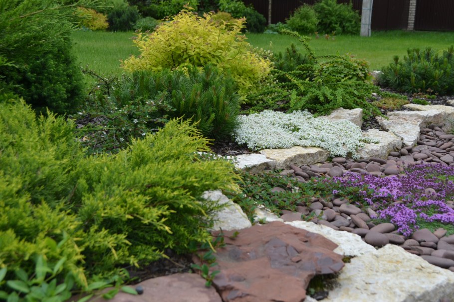 Каменистый сад с хвойниками
