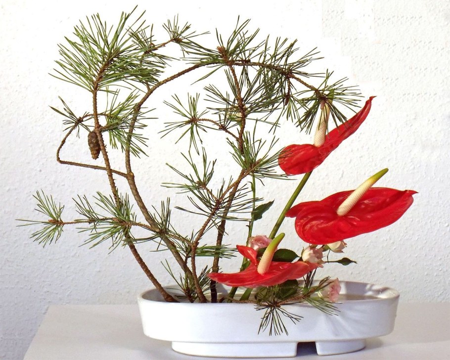 Икебана японское искусство составления букетов