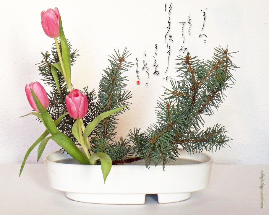 Хвойная Икебана