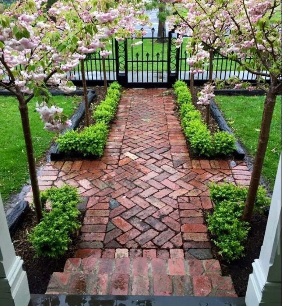 Клумбы патио хвойники и розы