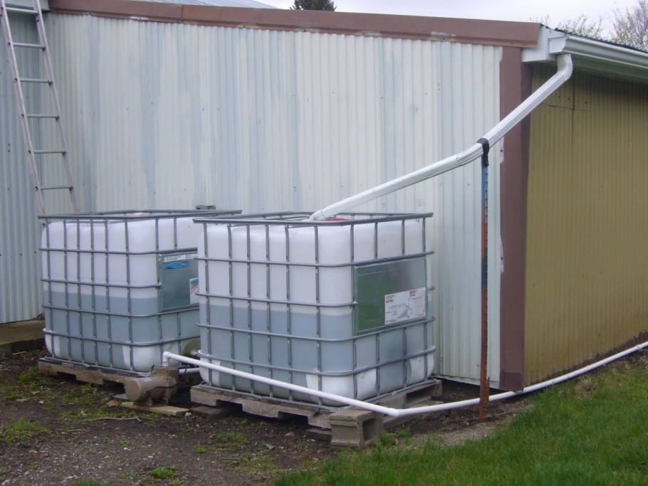 Сбор дождевой воды в еврокуб