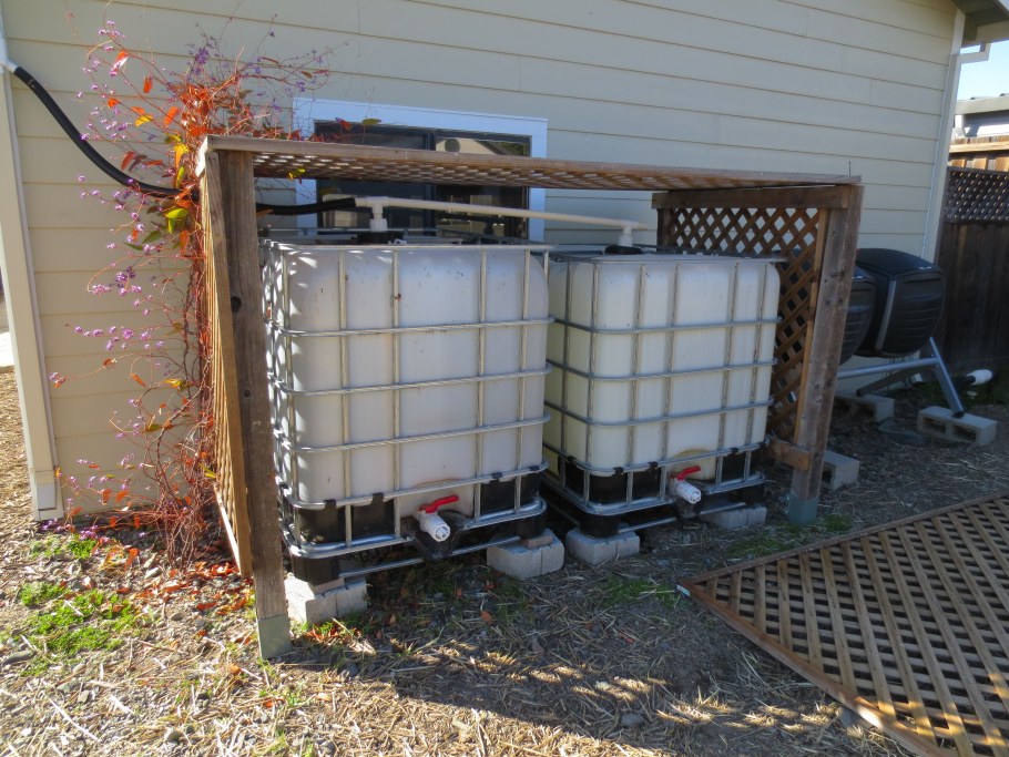 Сбор дождевой воды в еврокуб