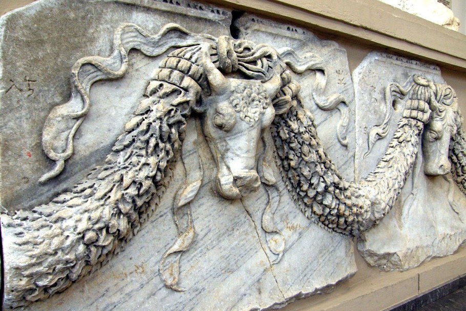 Фамилия фестон