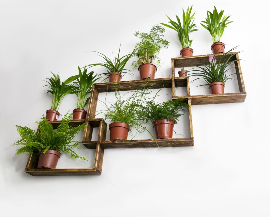 Стеллажи для комнатных цветов
