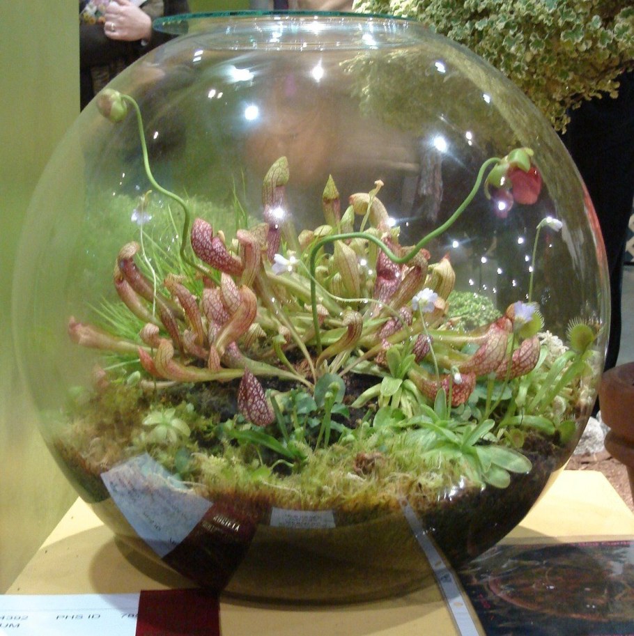 Композиция в стеклянном шаре