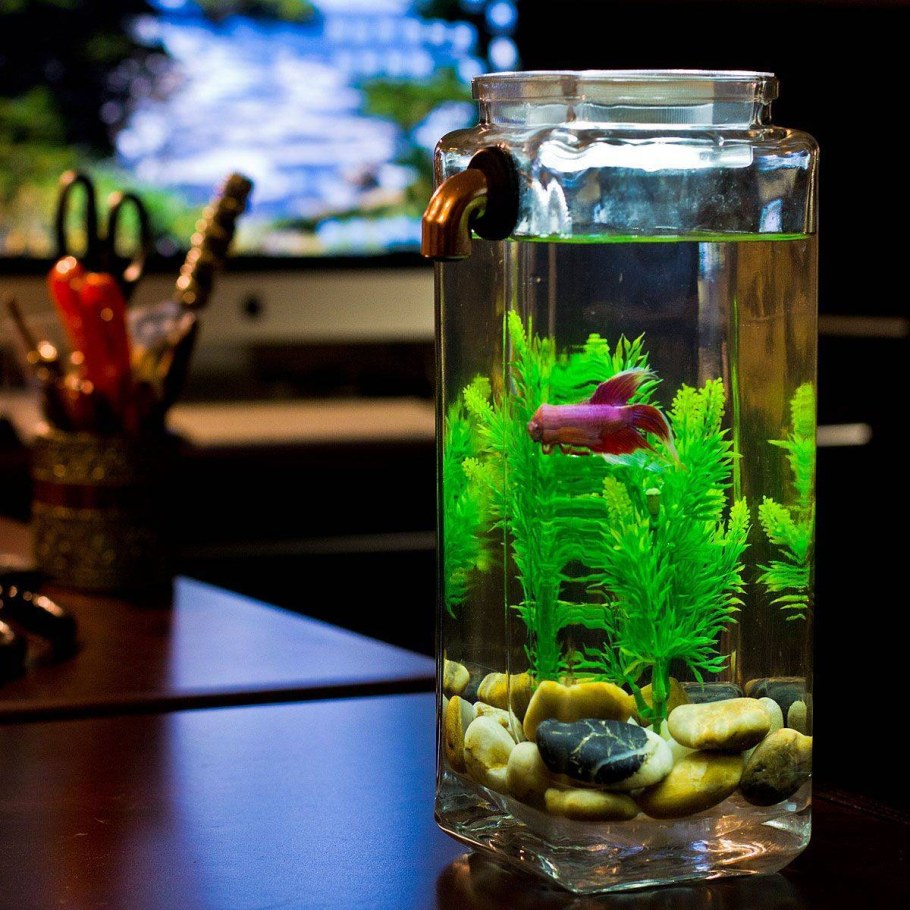 Необычный декор аквариума