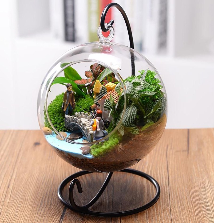 Террариум флорариум аквариум