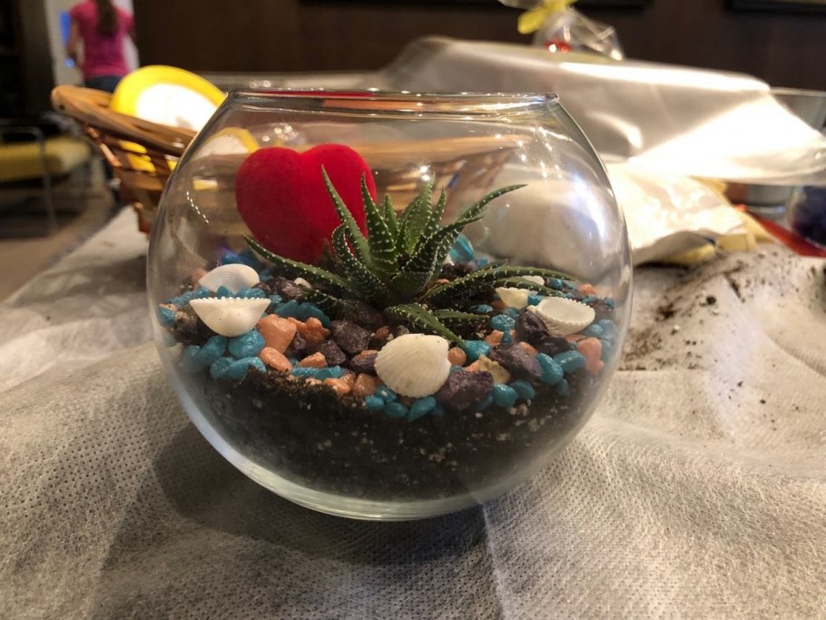 Круглый аквариум