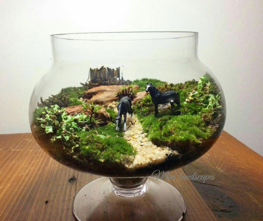 Флорариум с озером