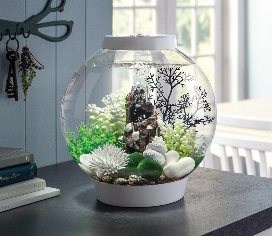 Флорариум в мини аквариуме
