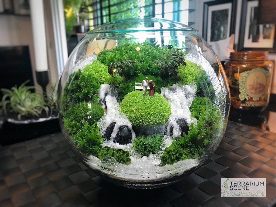 Хамедорея флорариум