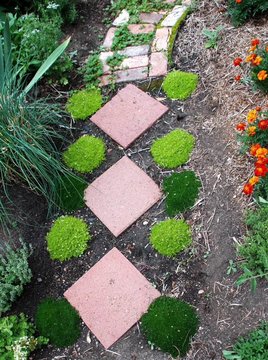 Интересные садовые дорожки