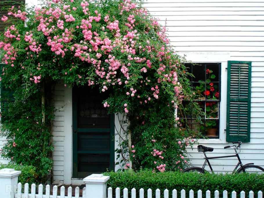 Арка Садовая пергола Розария