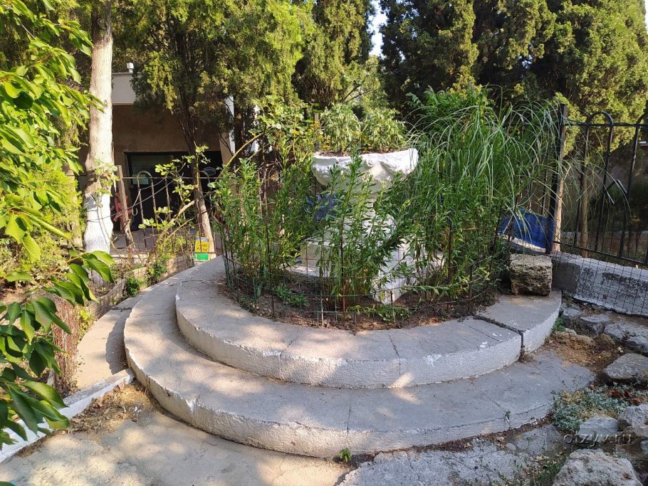 Дача Чехова в Крыму Гурзуф