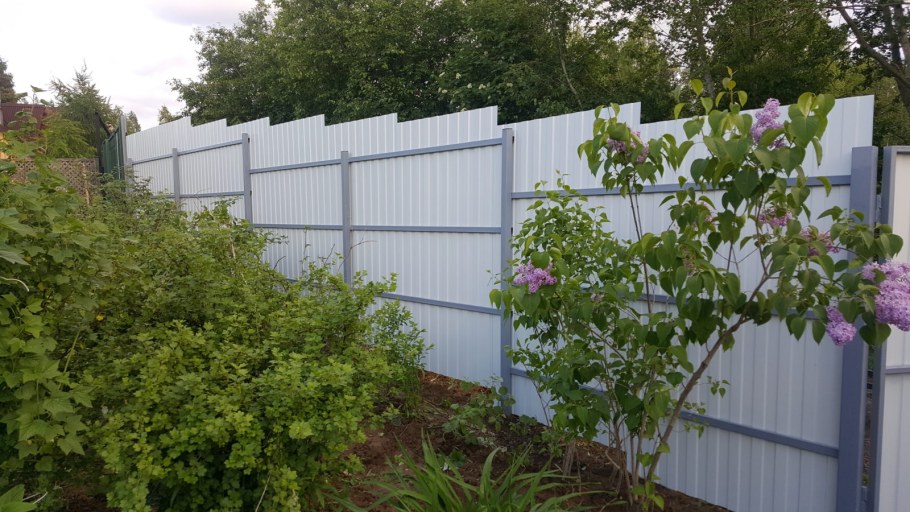 Сирень возле забора