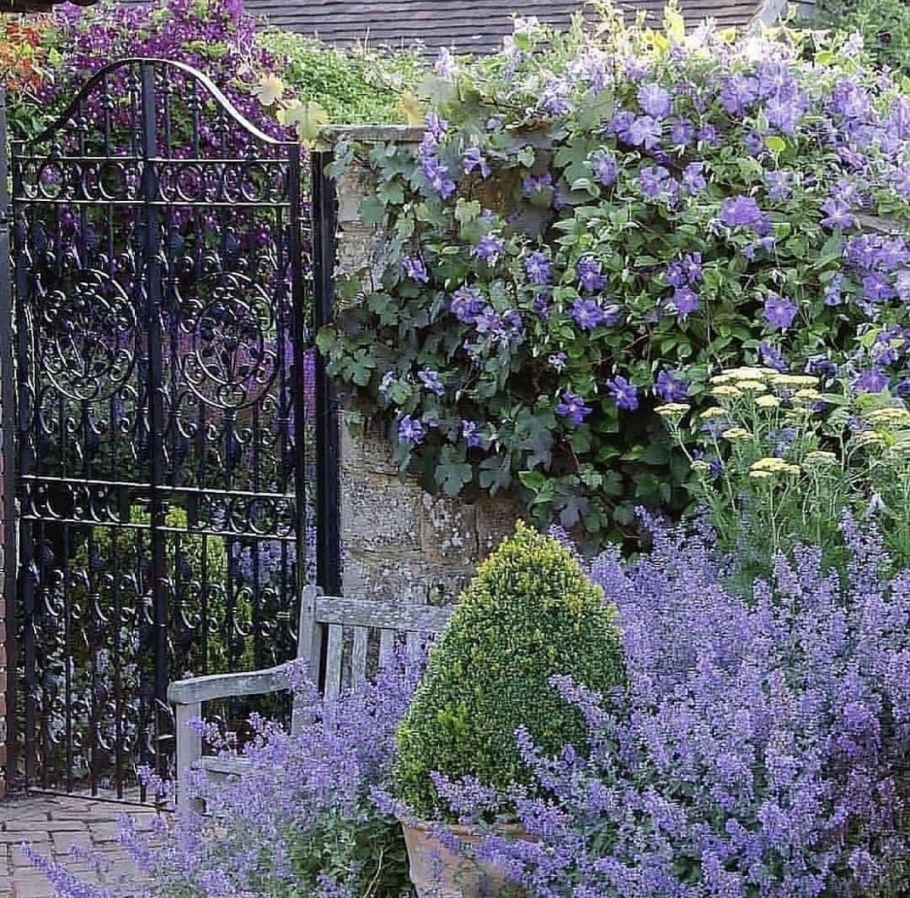 Туя Смарагд в ландшафтном