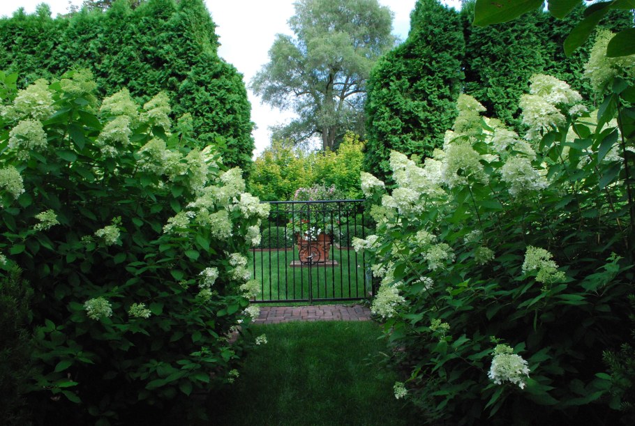 Клумба с гортензией и спиреей