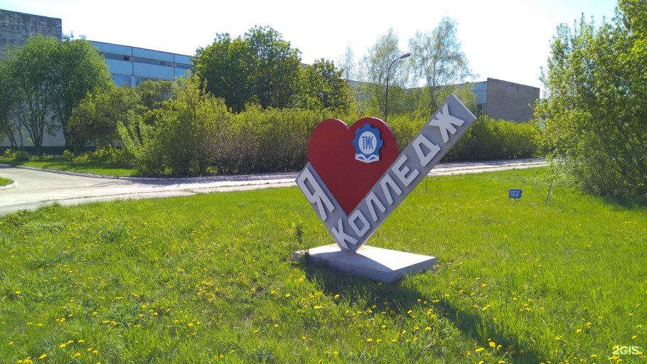 Я люблю колледж