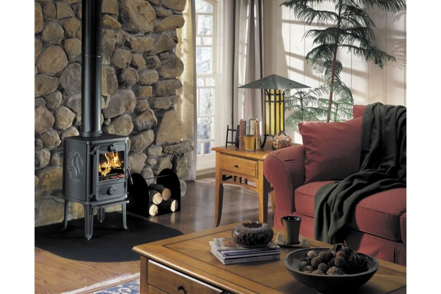 Отопительно-варочная печь ГРЕЙВАРИ 100