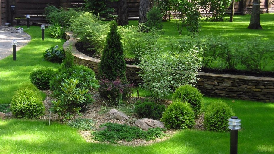 Озеленение территории