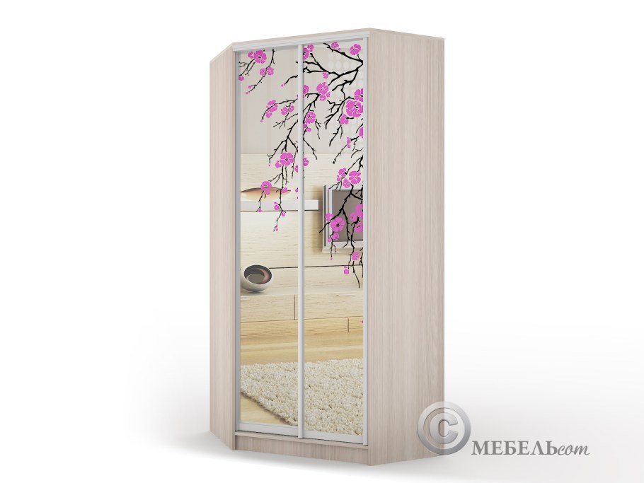 Шкаф купе "звездочёт 3"