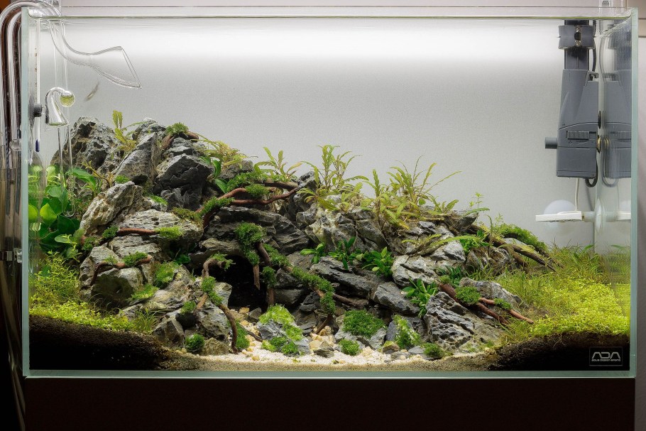 Аквариум с черным грунтом