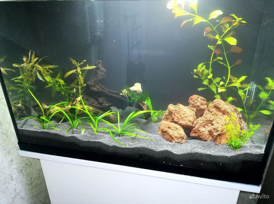 Акваскейп Атлантида