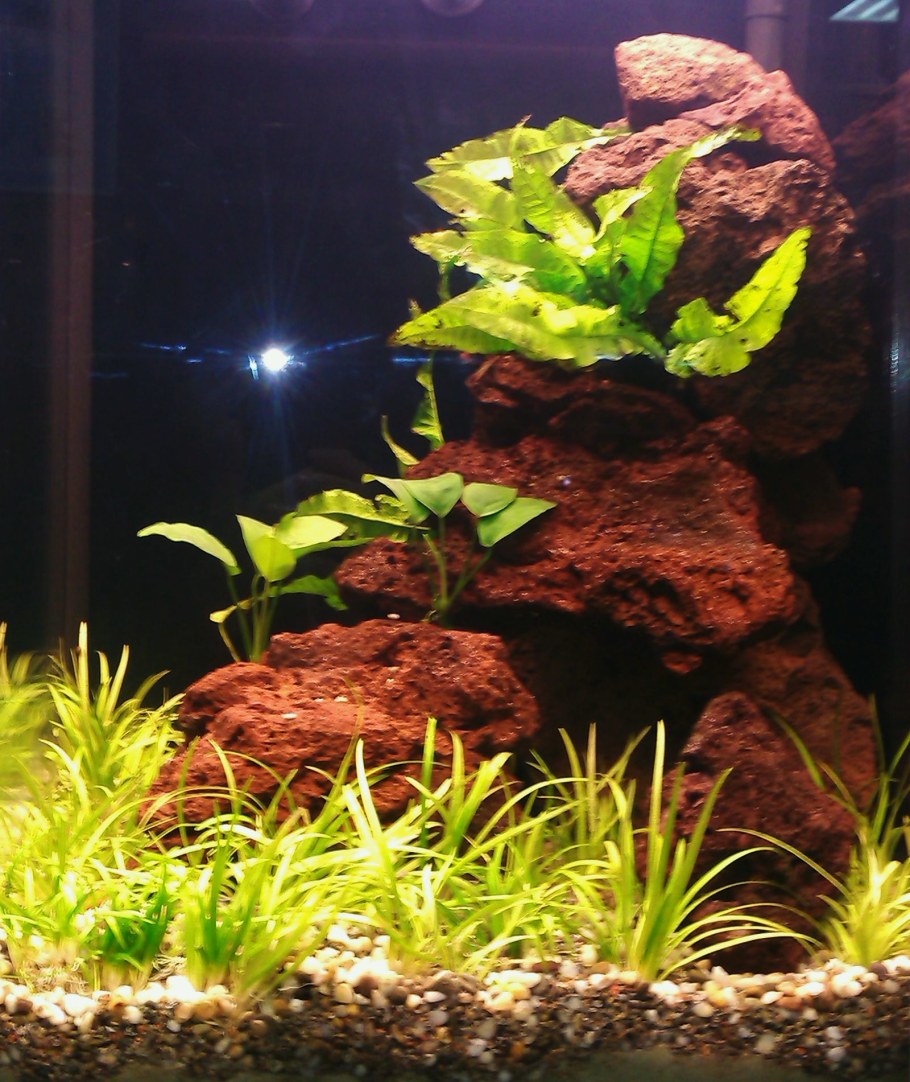 Уральский камень змеевик