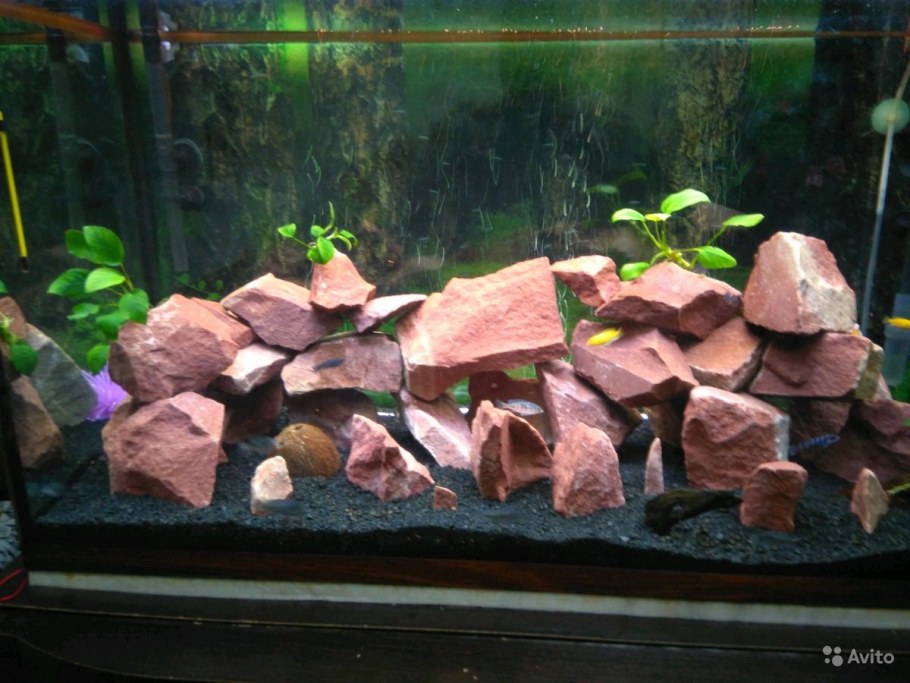 Акваскейп габбро диабаз