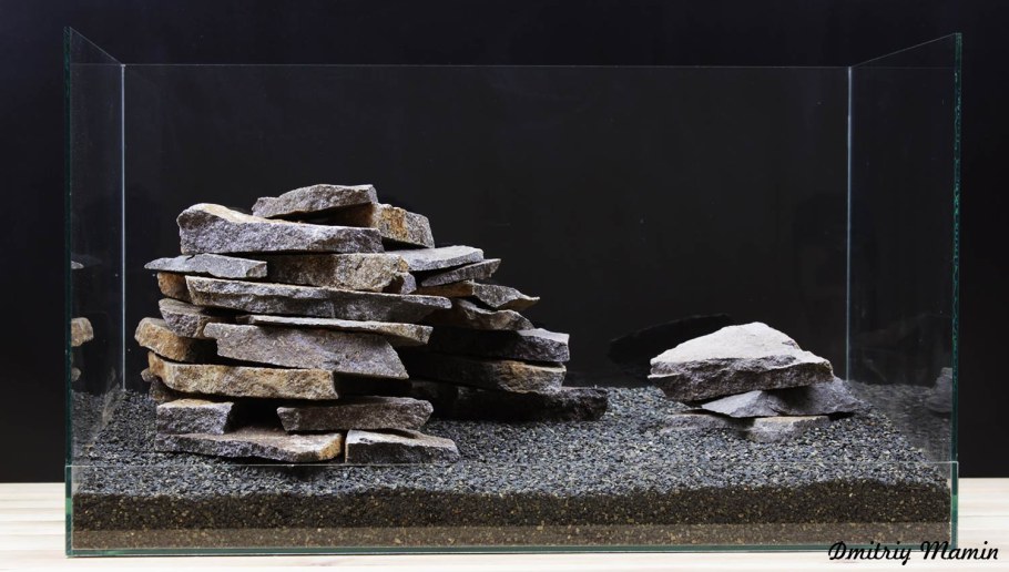 Филантус в аквариуме