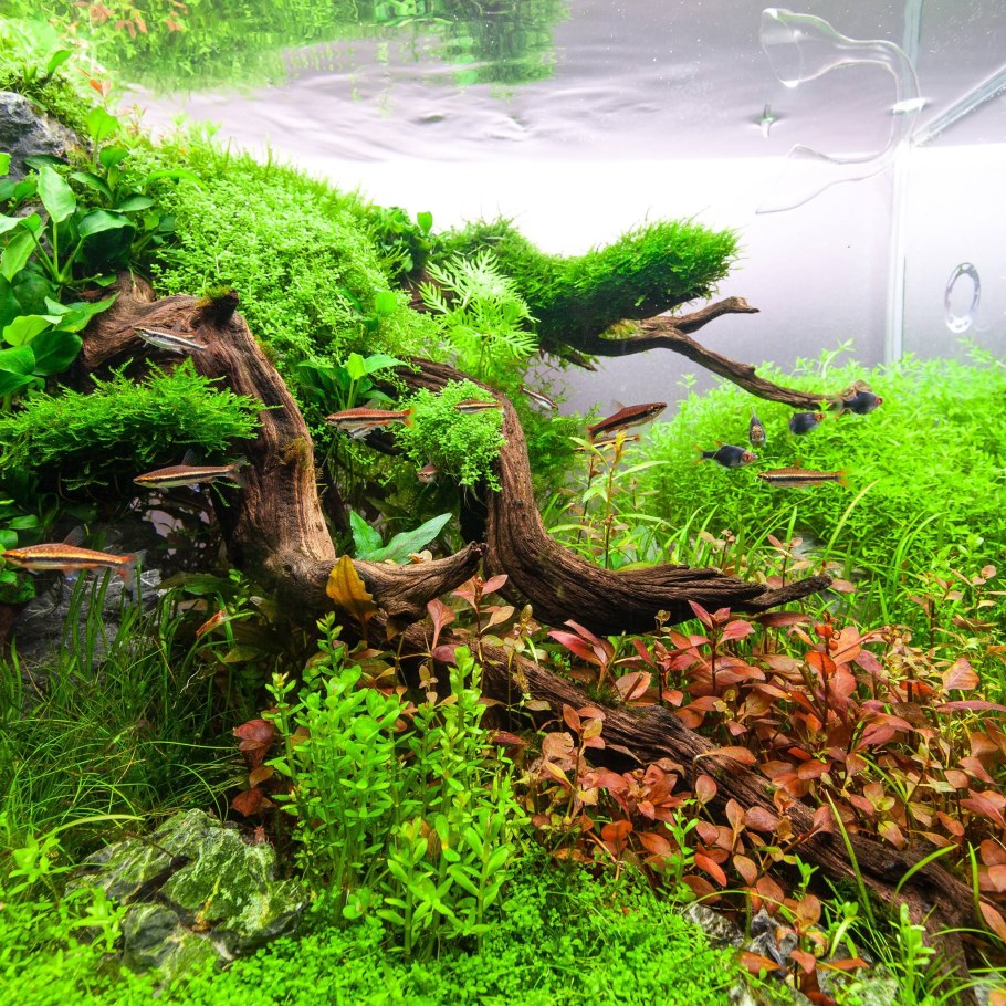 Яшмовый пляж галька