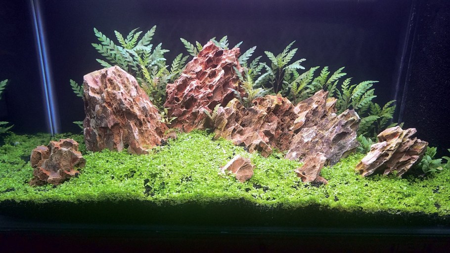 Камень для террариума