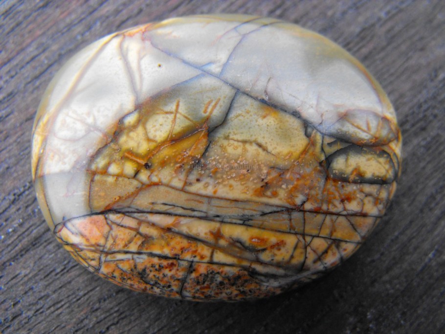 Акваскейп цихлидник