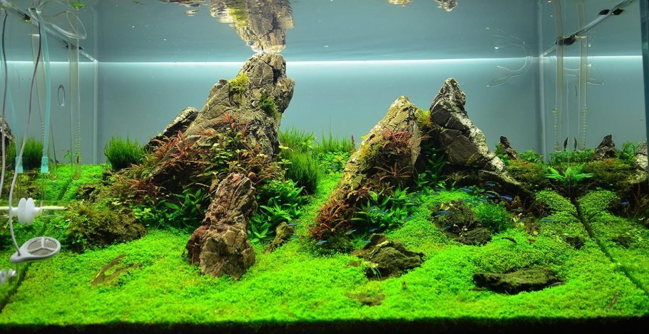 Акваскейп диабаз